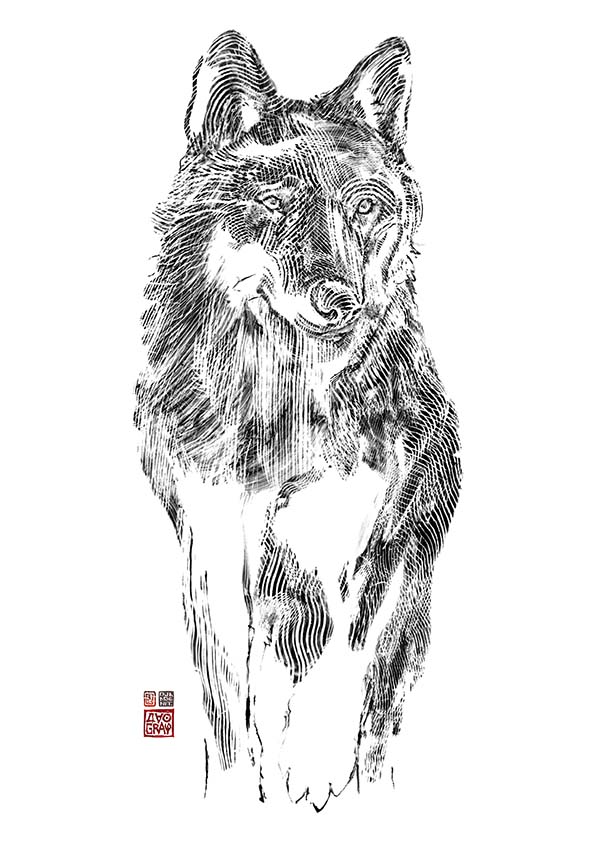 Loup 2